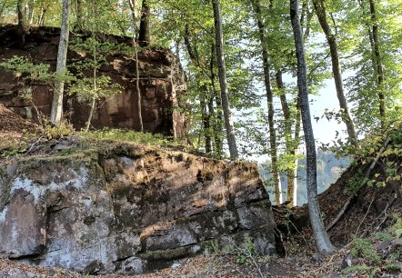 Gewässerlehrpfad Echtersbach, © Tourist-Info Bitburger Land