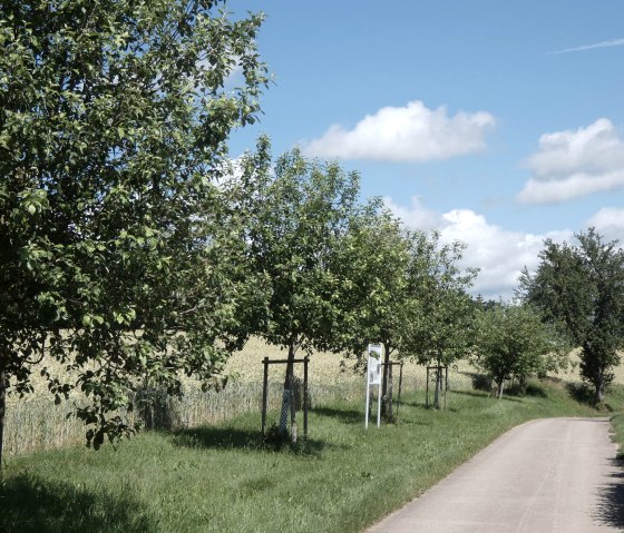 Idyllisches Kallenbachtal  - Streuobstwiesen, © Tourist-Information Bitburger Land, Melanie Salzburger