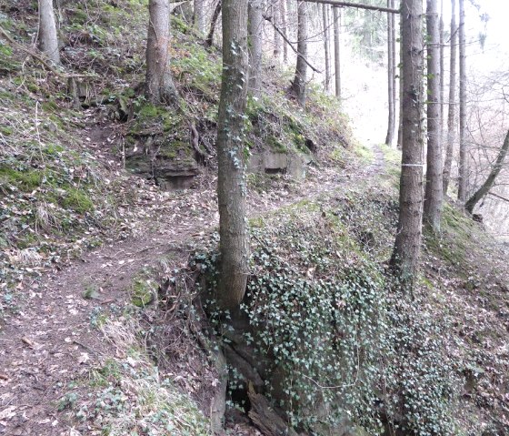 Mungelterpfad - Mühlenweg Speicher, © Eifelverein Ortsgruppe Speicher