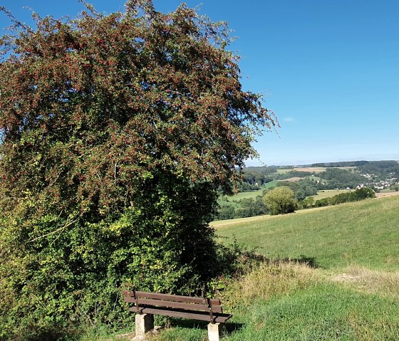 Bank zum Verweilen und Picknicken mit schönem Panoramablick, © TI BItburger Land - Steffi Wagner
