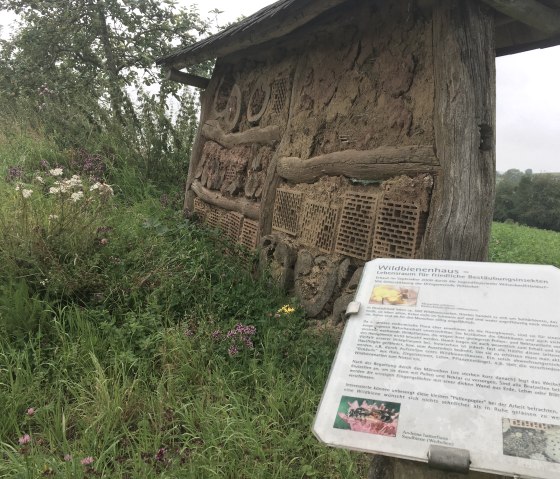 Insektenhotel, © TI Bitburger Land M.Mayer