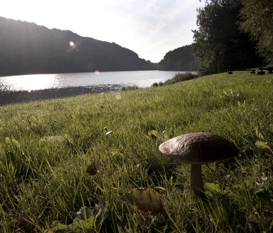 Stausee-Prümtalroute, © Pierre Haas