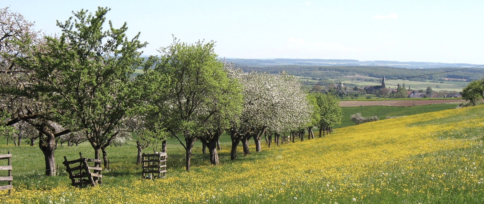 Vier-Jahreszeiten-Spaziergang Niederweiler, © Tourist-Information Bitburger Land_Doris Welter