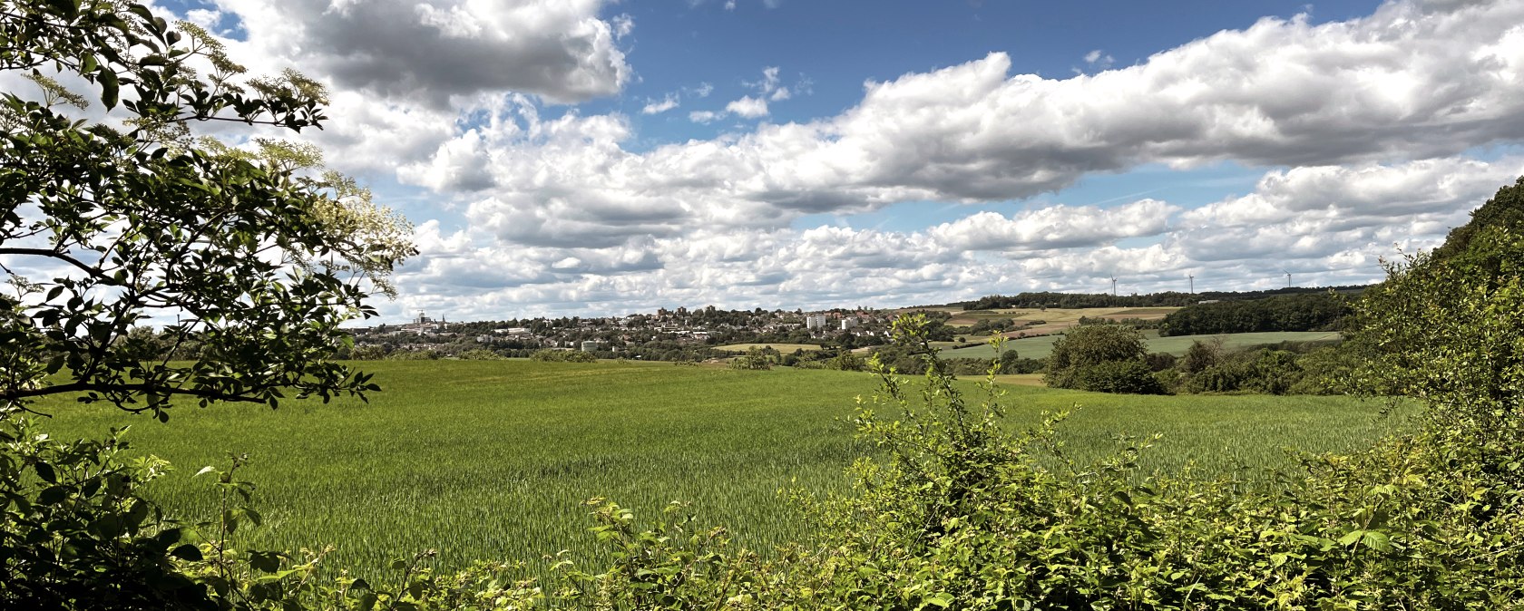 Ausblick auf der RWE-Route, © TI Bitburger Land