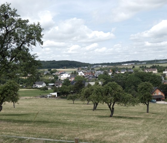 Streuobstwiese mit Blick auf Fließem, © TI Bitburger Land