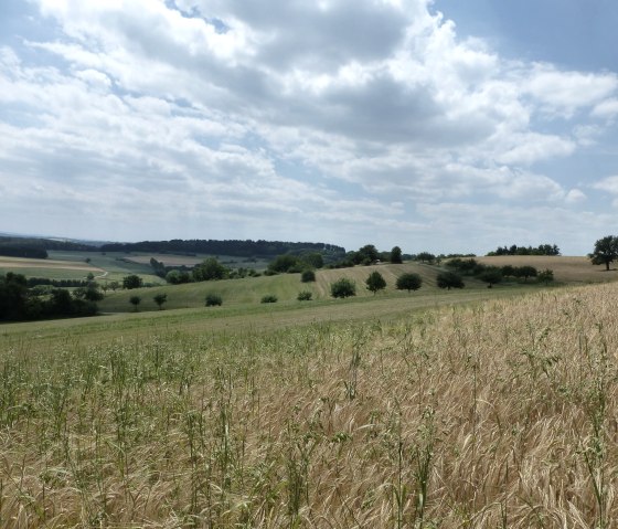 Weite Rundumblicke, © NaturAktivErleben