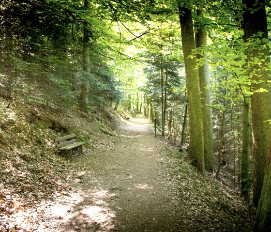 Bitburger LandGang Kyllburg - Stadtwald Hahn, © Tourist-Information Bitburger Land_Monika Mayer