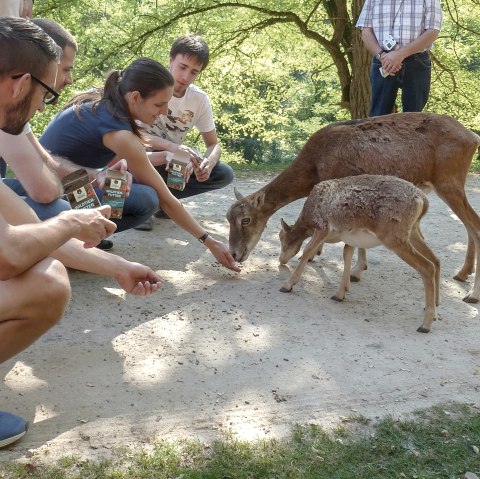 Eifelpark Gondorf, © Eifelpark Gondorf