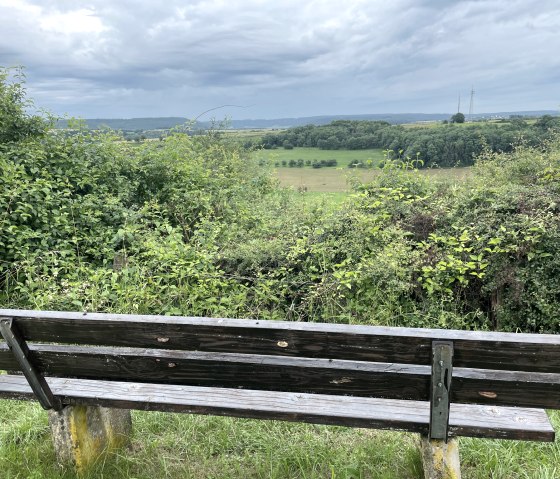 Panoramablick Oberweis, © Daniel Köhler