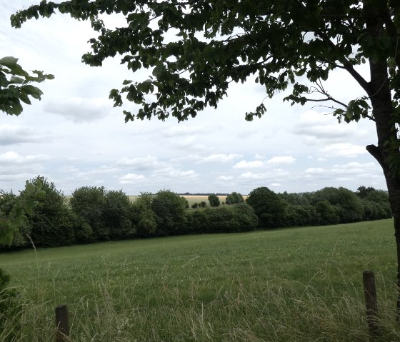 Ausblick vom Wanderweg, © TI Bitburger Land