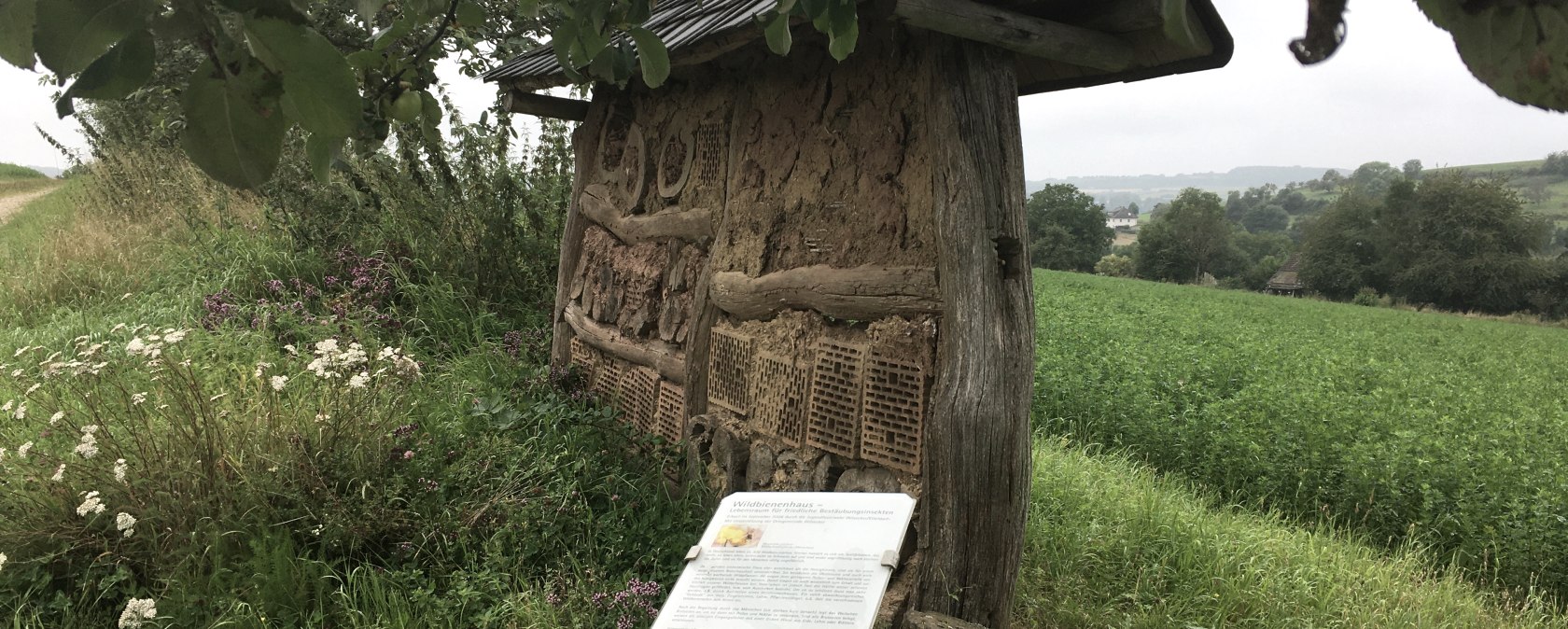 Bienenhaus - Wanderweg W2 Wilsecker, © TI Bitburger Land