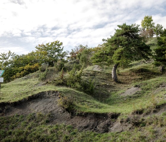 Naturschutzgebiet Scharren bei Dockendorf, © Tourist-Info Bitburger Land