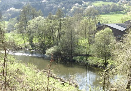 Blick auf die Kyll, © R. Schaal