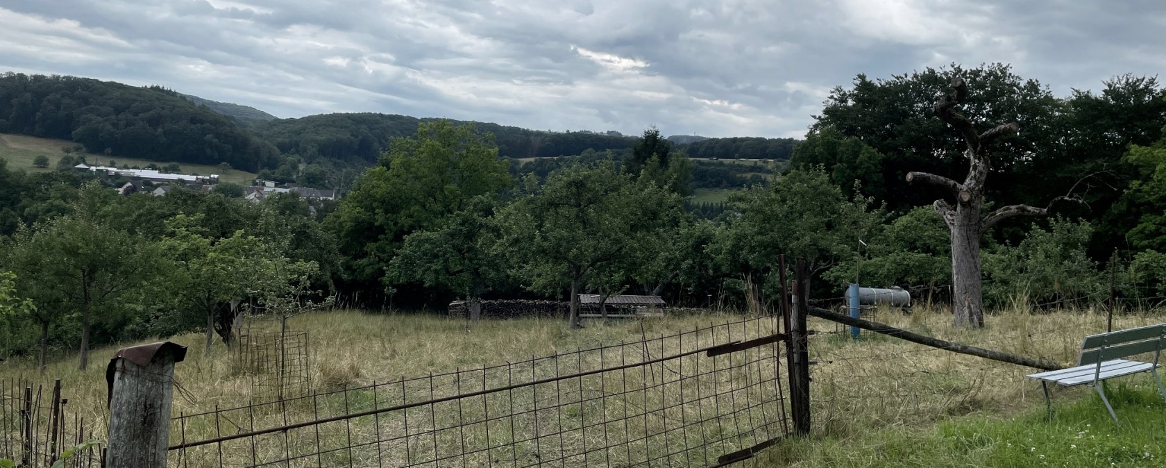 Ausblick Oberweis 1, © Daniel Köhler