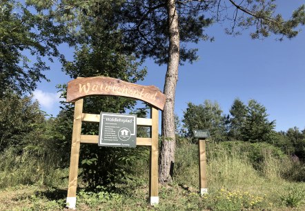 Hinweistafel Waldlehrpfad in Oberkail, © TI Bitburger Land