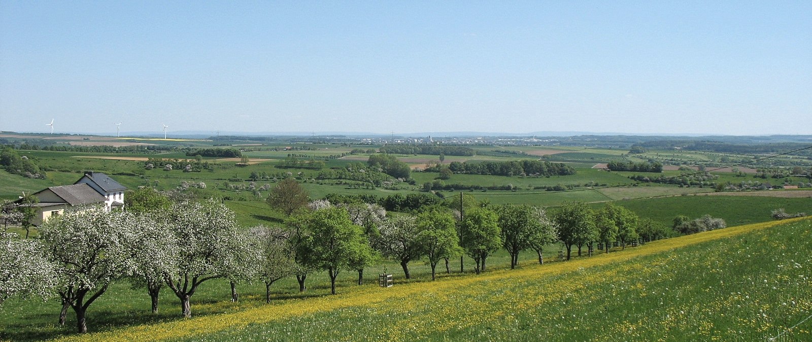 Blick auf die Streuobstwiesen in Niederweiler, © TI Bitburger Land