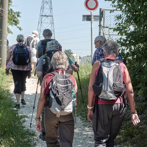 Wandelen in een groep, © Pixabay